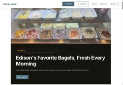 Preview of your live website