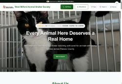 Preview of your live website