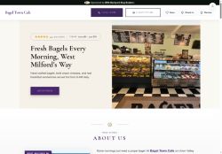 Preview of your live website