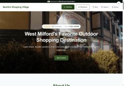 Preview of your live website