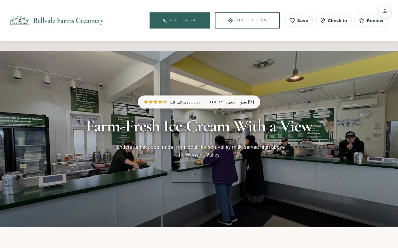 Preview of your live website