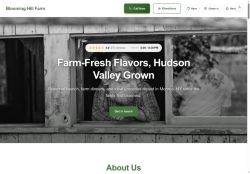 Preview of your live website