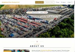 Preview of your live website