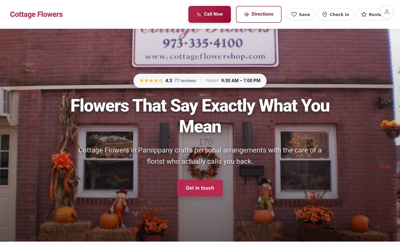 Preview of your live website