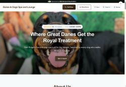 Preview of your live website