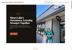 Preview of your live website