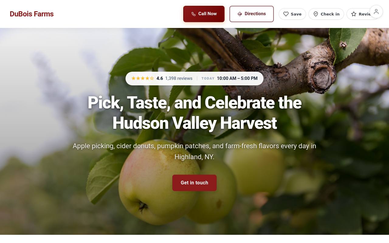 Preview of your live website