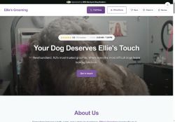 Preview of your live website