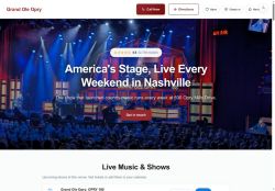Preview of your live website