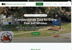 Preview of your live website