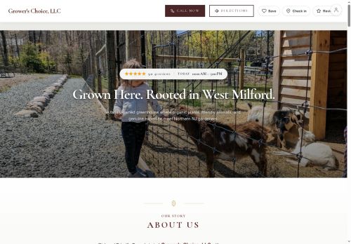 Preview of your live website