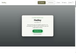 Preview of your live website
