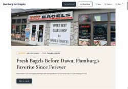 Preview of your live website