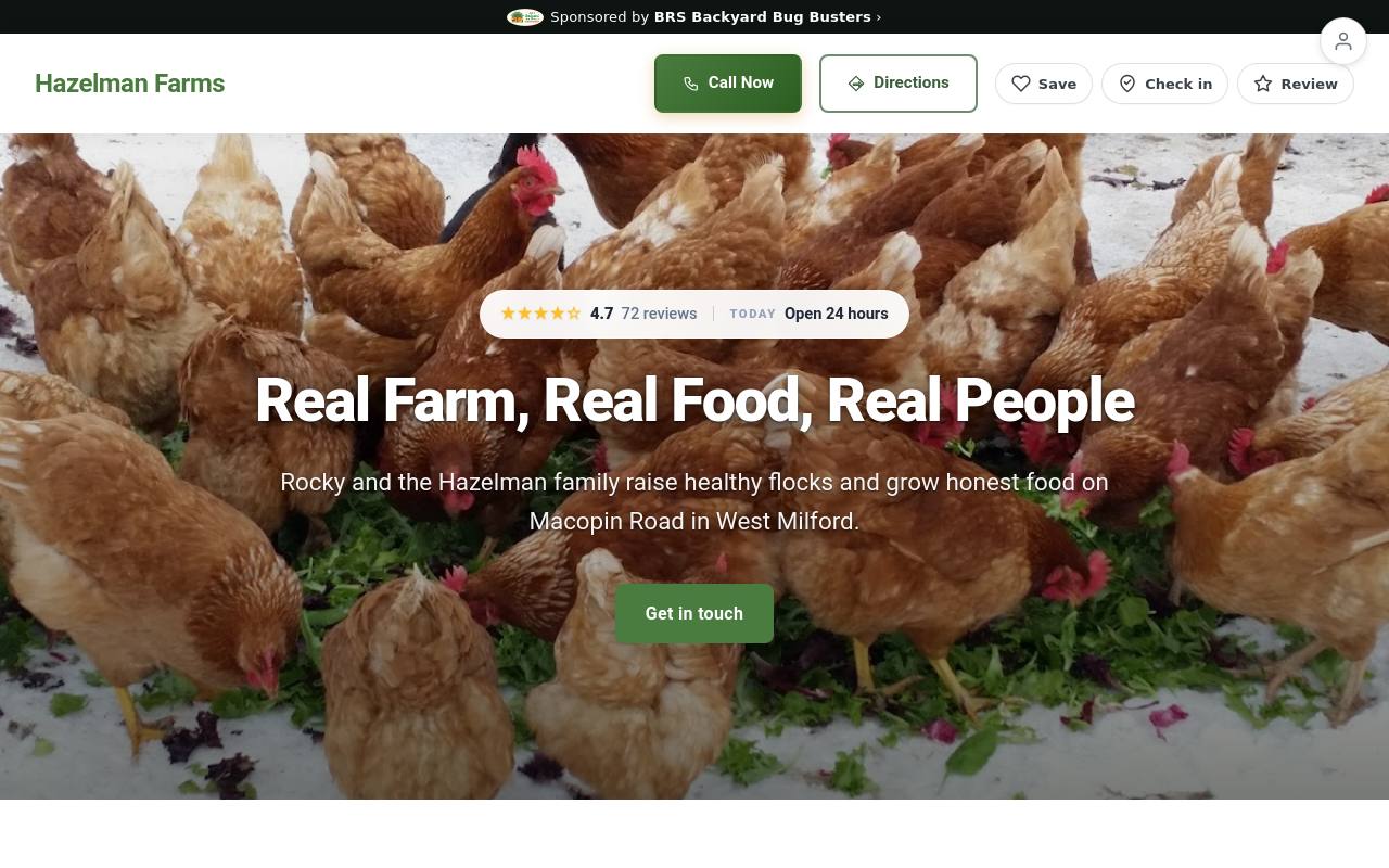 Preview of your live website