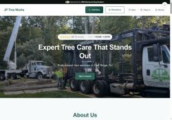 Preview of your live website