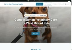 Preview of your live website