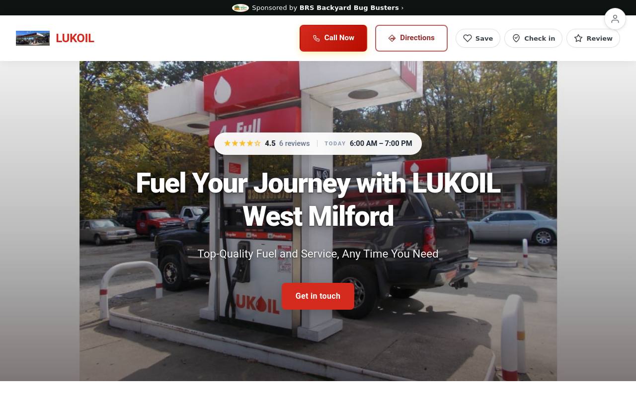 Preview of your live website