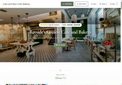 Preview of your live website