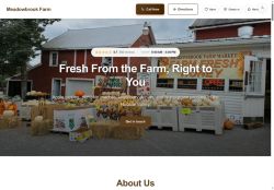 Preview of your live website