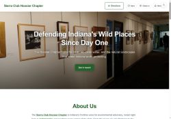 Preview of your live website