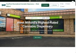 Preview of your live website