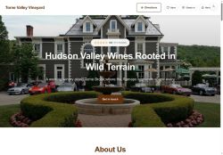 Preview of your live website
