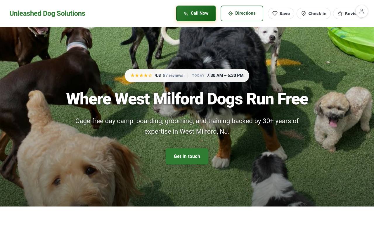 Preview of your live website