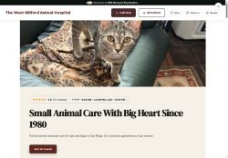 Preview of your live website